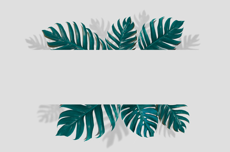 Concept art Minimal background design Leaves monster blue Tropical and leaves in vibrant bold gradient trendy Summer Tropical Leaves Designの写真素材