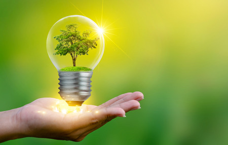 The forest and the trees are in the light. Concepts of environmental conservation and global warming plant growing inside lamp bulb over dry soil in saving earth conceptの写真素材