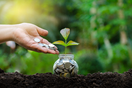 hand Put money Bottle Banknotes tree Image of bank note with plant growing on top for business green natural background money saving and investment financial conceptの写真素材