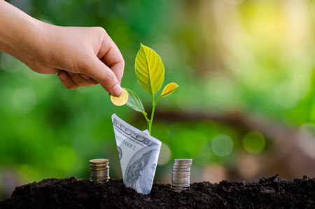 hand Put money Bottle Banknotes tree Image of bank note with plant growing on top for business green natural background money saving and investment financial conceptの写真素材