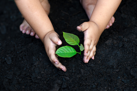 tree sapling Baby Hand On the dark ground, the concept implanted children's consciousness into the environmentの写真素材