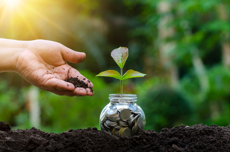 hand Put money Bottle Banknotes tree Image of bank note with plant growing on top for business green natural background money saving and investment financial conceptの写真素材