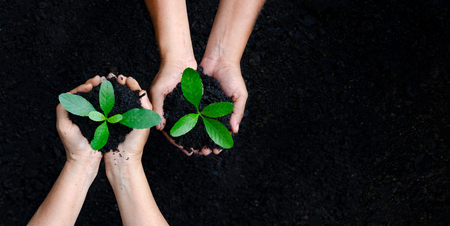 environment Earth Day In the hands of trees growing seedlings. Bokeh green Background Female hand holding tree on nature field grass Forest conservation conceptの写真素材