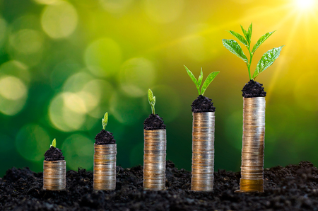 Money growth Saving money. Upper tree coins to shown concept of growing businessの写真素材