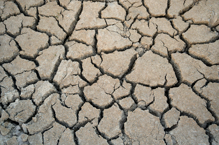 soil drought cracks texture background for design.の写真素材