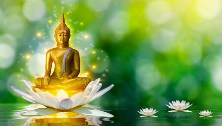 Buddha statue water lotus Buddha standing on lotus flower on orange backgroundの写真素材