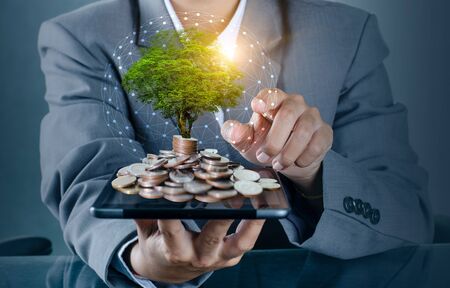 hand Coin tree The tree grows on the pile. Saving money for the future. Investment Ideas and Business Growth background with bokeh sunの写真素材