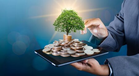 hand Coin tree The tree grows on the pile. Saving money for the future. Investment Ideas and Business Growth background with bokeh sunの写真素材