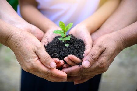 environment Earth Day In the hands of trees growing seedlings. Bokeh green Background Female hand holding tree on nature field grass Forest conservation conceptの写真素材