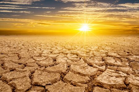 arid Clay soil Sun desert global worming concept cracked scorched earth soil drought desert landscape dramatic sunsetの写真素材