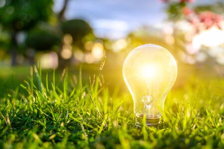 Light bulbs shining on the green grass, renewable energy and nature conservation conceptsの写真素材