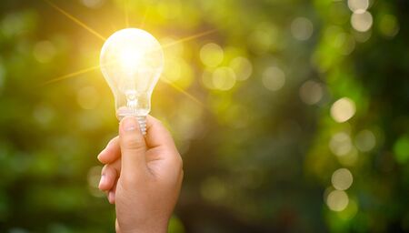 Light bulbs shining on the green grass, renewable energy and nature conservation conceptsの写真素材