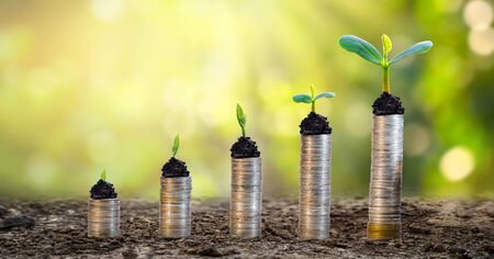 Money growth Saving money. Upper tree coins to shown concept of growing businessの写真素材