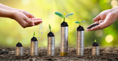 Money growth Saving money. Upper tree coins to shown concept of growing businessの写真素材