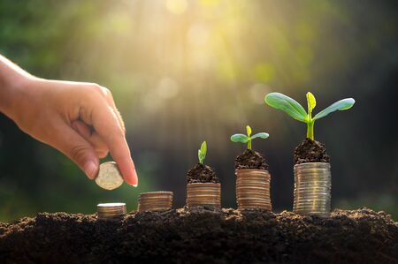 Money growth Saving money. Upper tree coins to shown concept of growing businessの写真素材