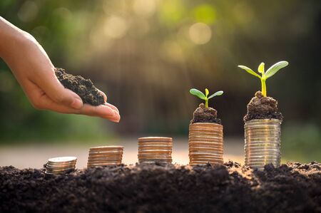 Money growth Saving money. Upper tree coins to shown concept of growing businessの写真素材