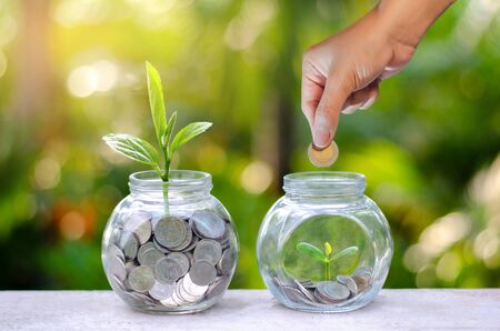 Coin tree Glass Jar Plant growing from coins outside the glass jar on blurred green natural background money saving and investment financial conceptの写真素材