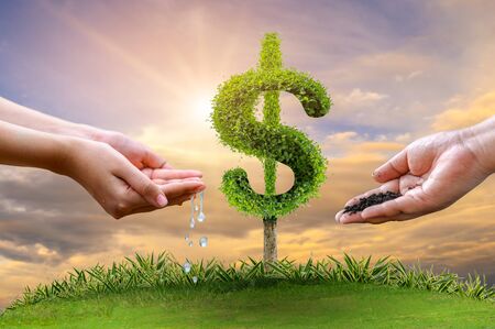 Money growth Saving money. Upper tree coins to shown concept of growing businessの写真素材