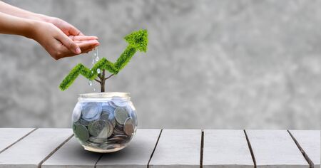 growth business. The tree grows into a shape, pointing up the concepts of financial business growth.の写真素材