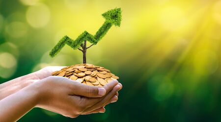 growth business. The tree grows into a shape, pointing up the concepts of financial business growth.の写真素材