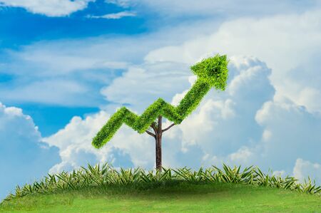 growth business. The tree grows into a shape, pointing up the concepts of financial business growth.の写真素材