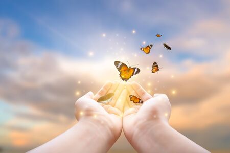 The girl frees the butterfly from the jar, golden blue moment Concept of freedomの写真素材