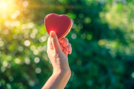 The hands of women and men are the heart shape with the sun light passing through the handsの写真素材