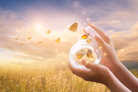 The girl frees the butterfly from the jar, golden blue moment Concept of freedomの写真素材