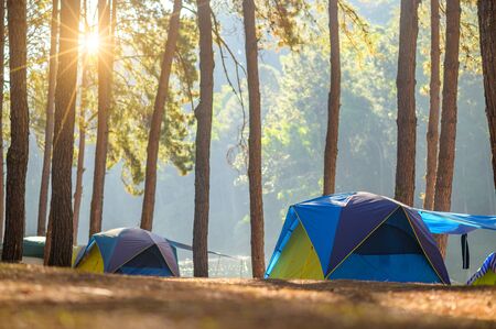 Dancing camping in Pang Ung forest, Mae Hong Son province, Thailandの写真素材