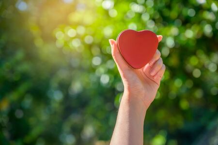 The hands of women and men are the heart shape with the sun light passing through the handsの写真素材