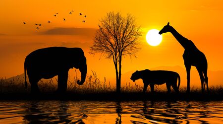 Large group of african safari animals. Wildlife conservation conceptの写真素材