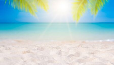 Summer vacation white sand beach with space for text coconut leaves rear frame sea view energetic floorの写真素材