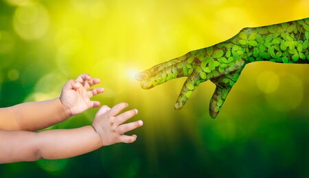 environment Earth Day Hands from nature are helping people. Nature's concept.の写真素材