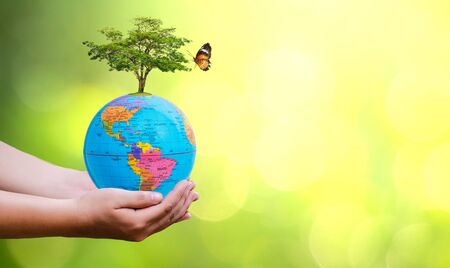 Concept Save the world save environment The world is in the grass of the green bokeh backgroundの写真素材