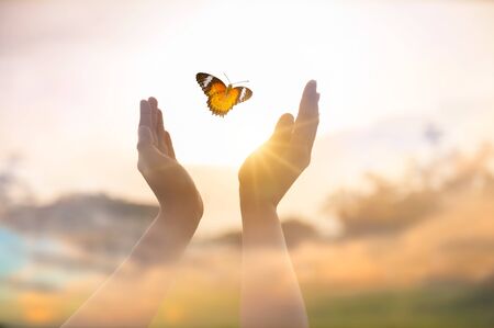 The girl frees the butterfly from  moment Concept of freedomの写真素材