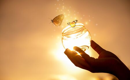 The girl frees the butterfly from the jar, golden blue moment Concept of freedomの写真素材