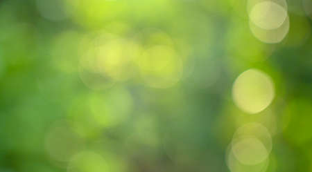 Bokeh blur green backgroundの写真素材