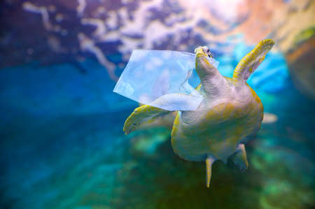 plastic ocean turtle are eating plastic bags under the blue sea. Environmental conservation concepts and not throwing garbage into the seaの写真素材