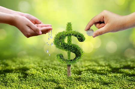 growth business. The tree grows into a shape, pointing up the concepts of financial business growth.の写真素材
