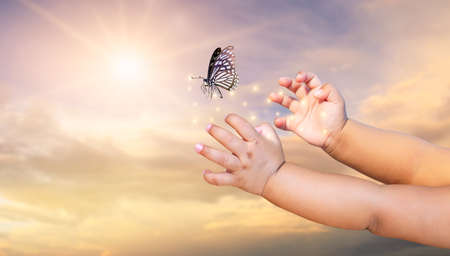 The Small child frees the butterfly from  moment Concept of freedomの写真素材
