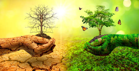 tree in two hands  with very different environments Earth Day or World Environment Day Global Warming and Pollutionの写真素材