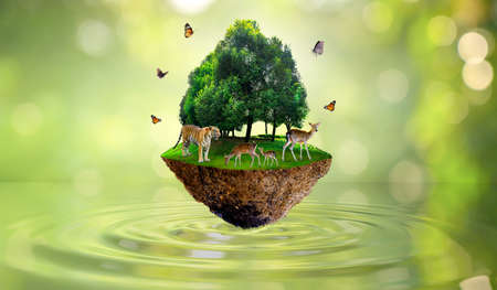 Concept Nature reserve conserve Wildlife reserve tiger Deer Global warming Food Loaf Ecology Human hands protecting the wild and wild animals tigers deer, trees in the background Sun lightの写真素材