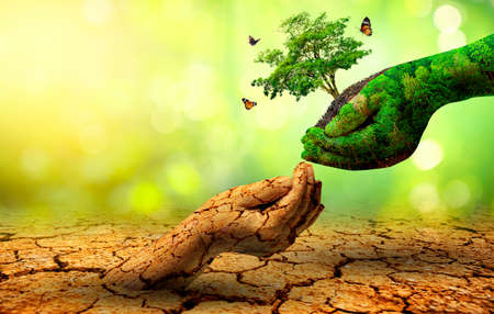tree in two hands  with very different environments Earth Day or World Environment Day Global Warming and Pollutionの写真素材