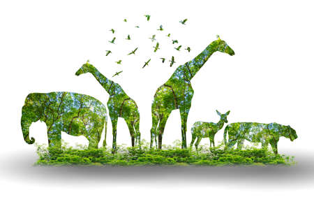forest silhouette in the shape of a wild animal wildlife and forest conservation conceptの写真素材