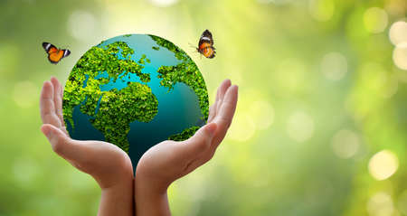 Concept Save the world save environment The world is in the grass of the green bokeh backgroundの写真素材