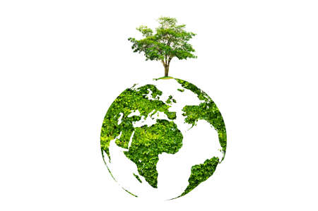 earth day tree on green earth on white isolate backgroundの写真素材