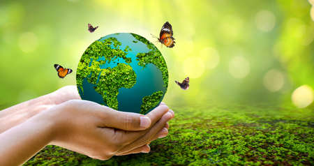 Concept Save the world save environment The world is in the grass of the green bokeh backgroundの写真素材