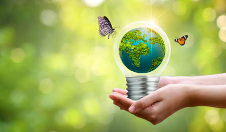 The bulb is located on the inside with leaves forest and the trees are in the light. Concepts of environmental conservation and global warming plant growing inside lamp bulb over dryの写真素材