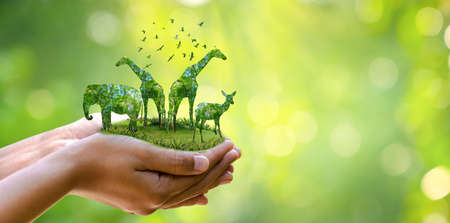 forest silhouette in the shape of a wild animal wildlife and forest conservation conceptの写真素材