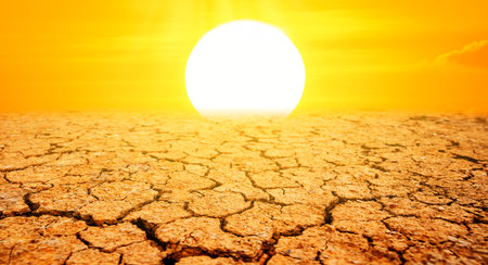 The sweltering sun in the ground very dryの写真素材